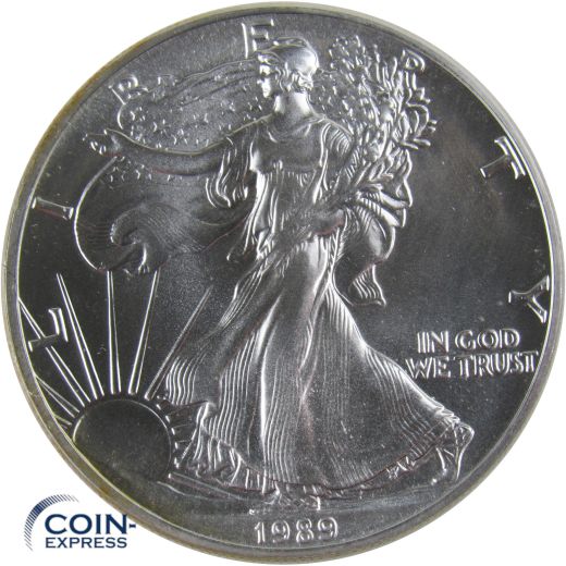 1 Dollar Gedenkmünze USA 1989 Silver Eagle - 1 oz Silber