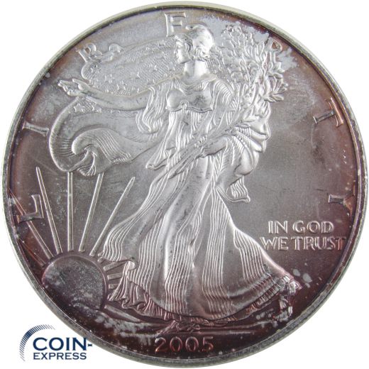 1 Dollar Gedenkmünze USA 2005 Silver Eagle - 1 oz Silber