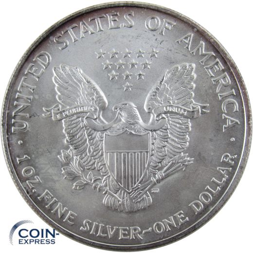 1 Dollar Gedenkmünze USA 2005 Silver Eagle - 1 oz Silber