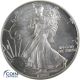 1 Dollar Gedenkmünze USA 1992 Silver Eagle - 1 oz Silber