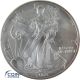 1 Dollar Gedenkmünze USA 2003 Silver Eagle - 1 oz Silber