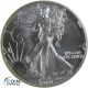 1 Dollar Gedenkmünze USA 1989 Silver Eagle - 1 oz Silber