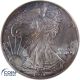 1 Dollar Gedenkmünze USA 1998 Silver Eagle - 1 oz Silber