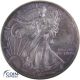 1 Dollar Gedenkmünze USA 1996 Silver Eagle - 1 oz Silber