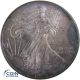 1 Dollar Gedenkmünze USA 1995 Silver Eagle - 1 oz Silber