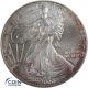 1 Dollar Gedenkmünze USA 2000 Silver Eagle - 1 oz Silber