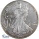 1 Dollar Gedenkmünze USA 1999 Silver Eagle - 1 oz Silber