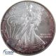 1 Dollar Gedenkmünze USA 2005 Silver Eagle - 1 oz Silber