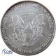 1 Dollar Gedenkmünze USA 2005 Silver Eagle - 1 oz Silber