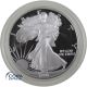 1 Dollar Gedenkmünze USA 1991 - Silver Eagle PP Proof