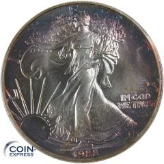 1 Dollar Gedenkmünze USA 1988 Silver Eagle - 1 oz Silber