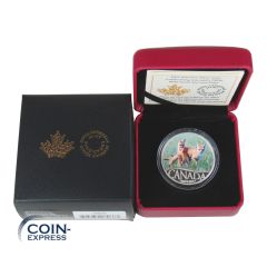 10 Dollar Gedenkmünze Kanada 2017 PP - Fox and Pups