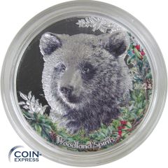 500 Togrog Mongolei 2024 - Woodland Spirits - Bär 500 Togrog Mongolei 2024 - Woodland Spirits - Bär