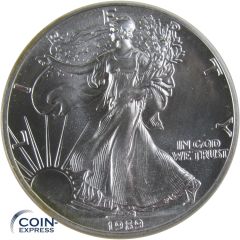 1 Dollar Gedenkmünze USA 1989 Silver Eagle - 1 oz Silber